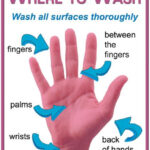 CDC H1N1 Flu CDC Posters For Schools About Flu Prevention